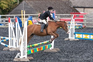 Class 4 - Fences 2'3 to 2'6